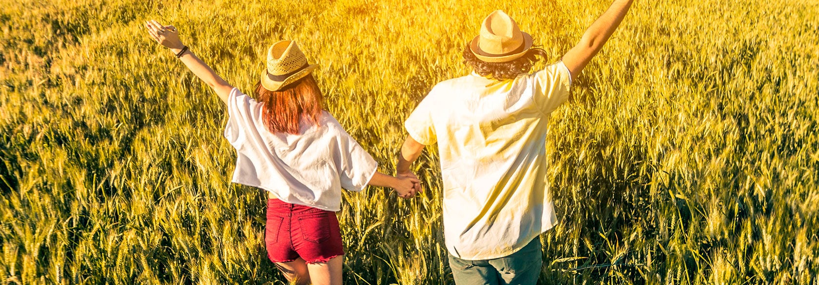 Refonte de la plateforme digitale d’une chaine de distribution de produits bio française