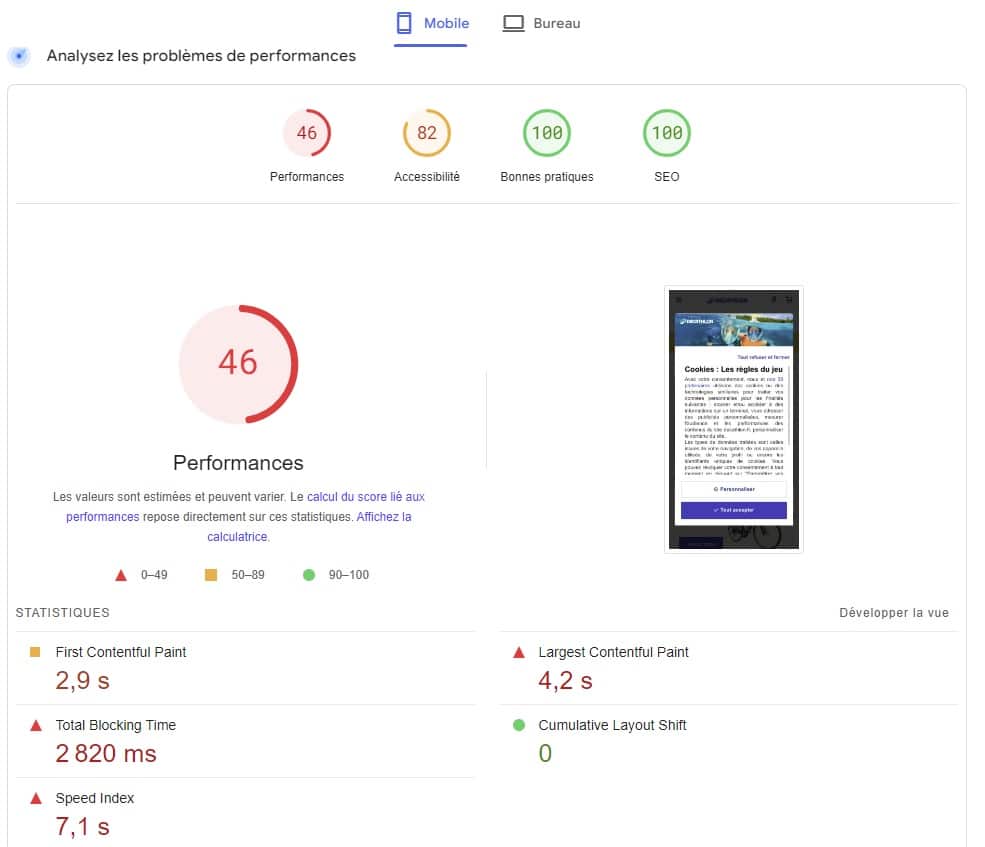 PageSpeed Insights